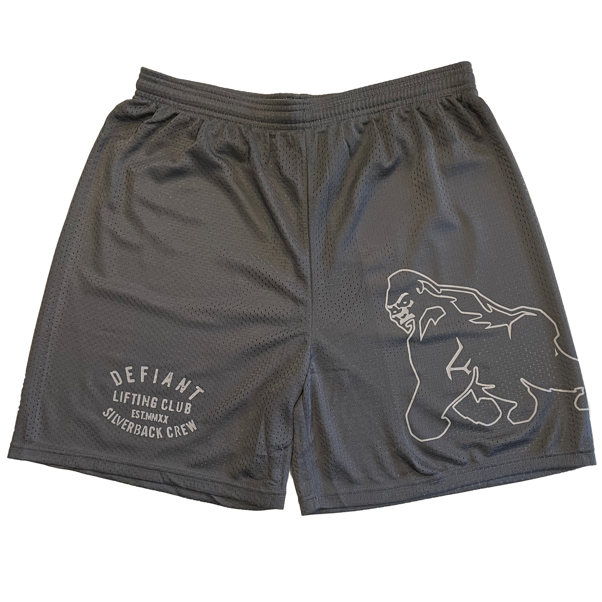 STORM LIFTING CLUB Mesh Shorts - Basketball, Gym, Athletic