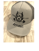 Load image into Gallery viewer, PITBULL 5 PANEL TRUCKER HAT
